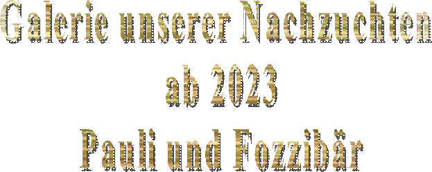 Multi - Champion
Ojabun Assan
FCI / creme